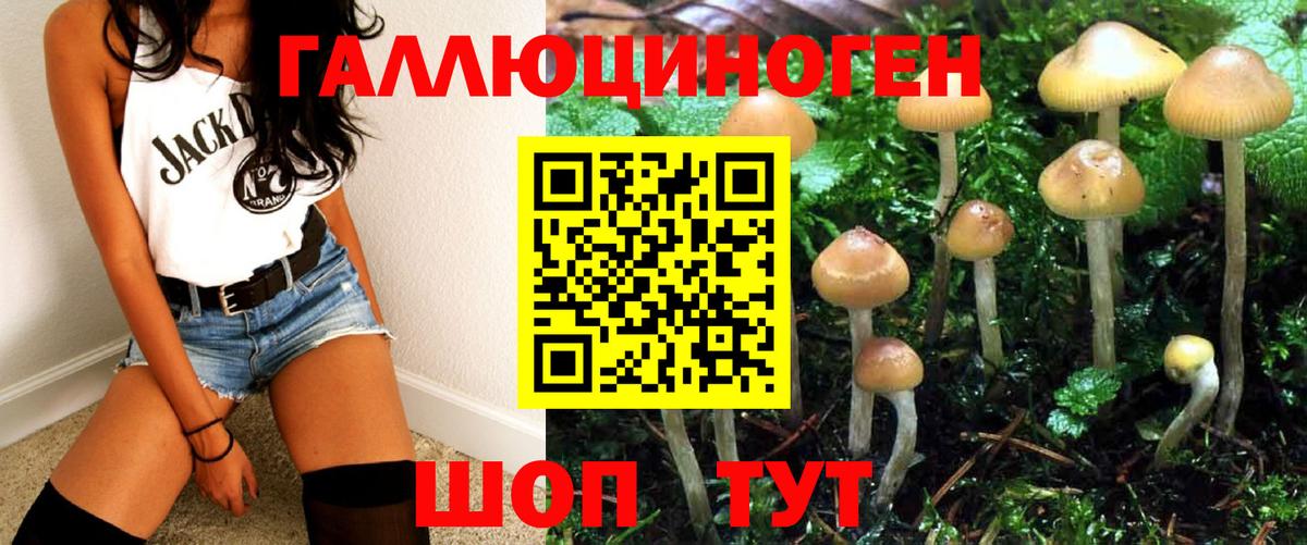Азнакаево  Галлюциногенные грибы ЛСД  Вход с VPN 